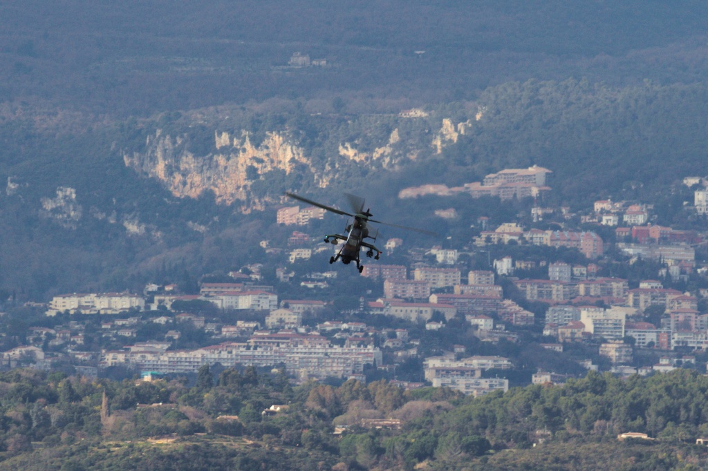 Cannes - Mandelieu LFMD / CEQ - Février 2017  738499IMG7443