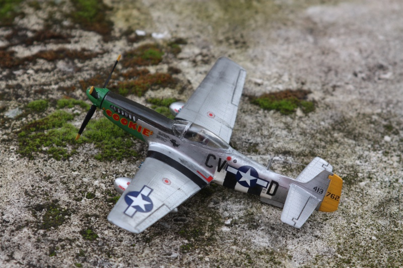 P51D-Mustang "Cookie" - Revell - Tout premier Montage 740277IMG0081