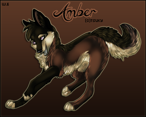 Amber ♀ Nourrice -Chasseuse 741786Amber