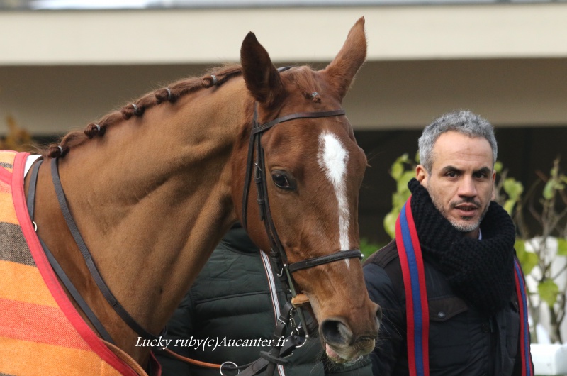 Photos Auteuil 27-11-2016 7464845J6A2741