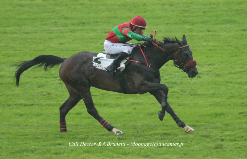 Photos Auteuil 12-06-2016 - Page 2 7508555J6A3785