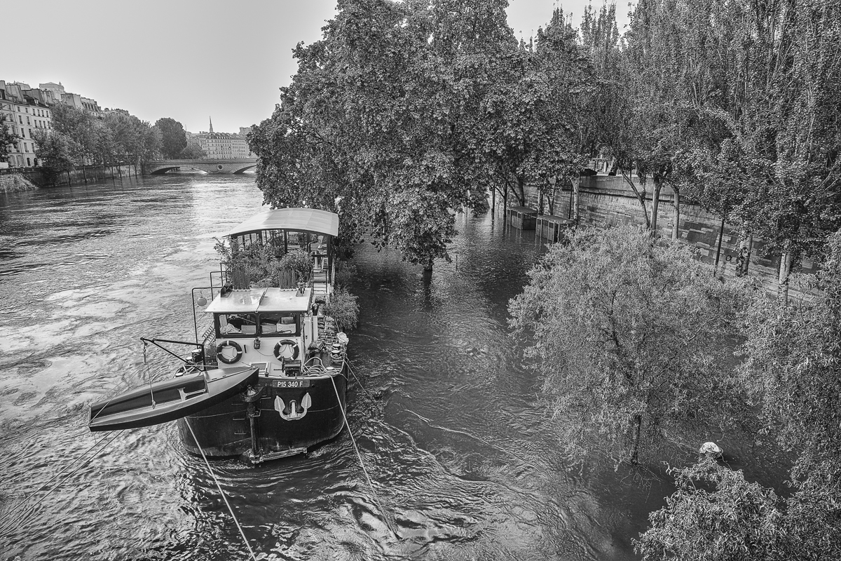 Crue de la Seine 759129DP0Q1950Modifier