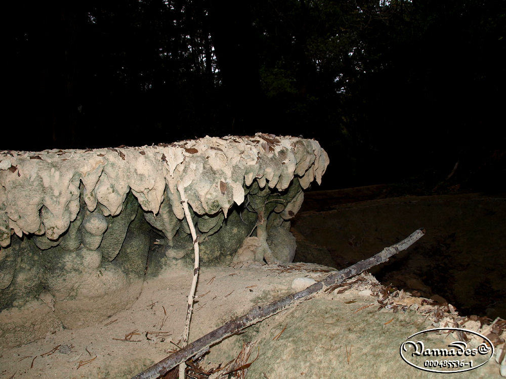 La source de l'Huveaune et sa Sècheresse du 10/10/2012 7608722010