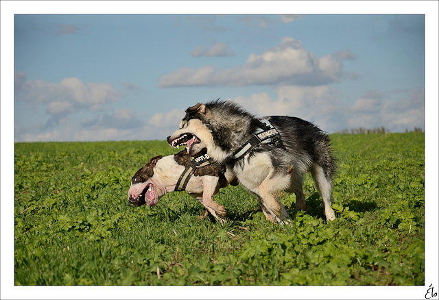  - Il était une fois, un lardon et une balayette... ;) 76221928101217