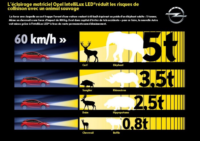 L’éclairage matriciel Opel IntelliLux LED® réduit les risques d’accidents avec les animaux sauvages 767294OpelIntelliLuxLED298295