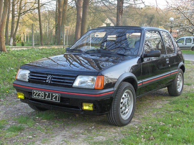 205 GTI 1600 COCO 770340HPIM4519a