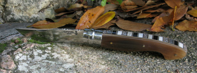 Opinel "customs" 2012 made in Frank - Page 10 771294IMG7734