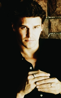 David Boreanaz 7759796