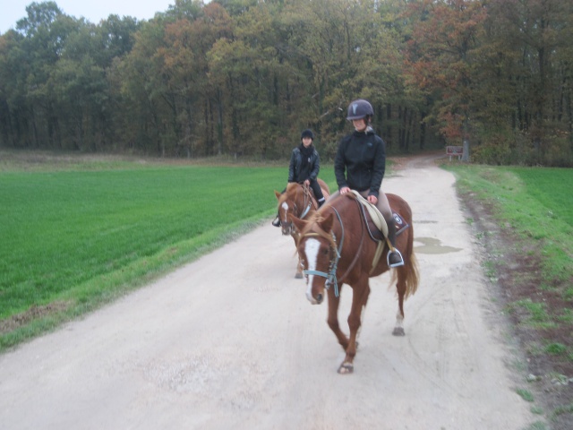 Photos des balades que l'on fait depuis la ferme... - Page 3 778943IMG1073