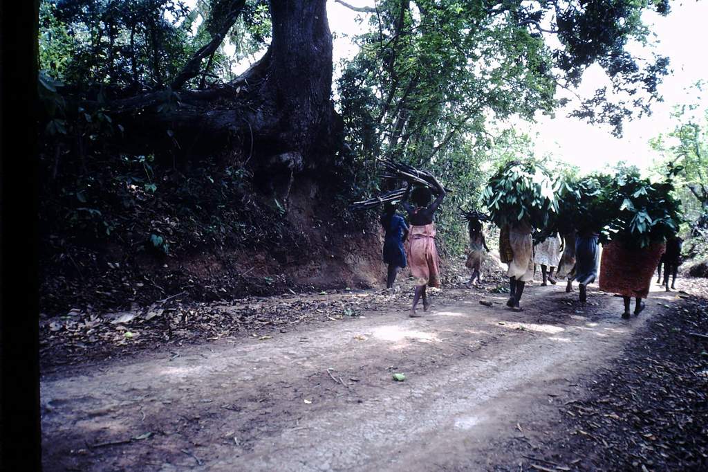 [Campagnes] MAYOTTE - Page 9 780739PICT0008