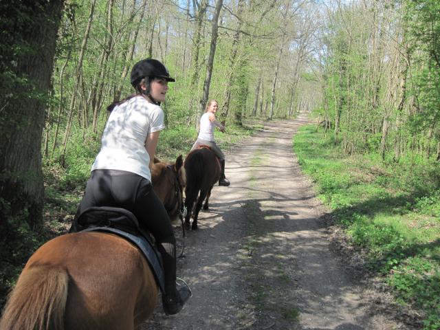 Balade de 2h - Milly la Forêt - Chapeau de Napoléon 780957IMG5976