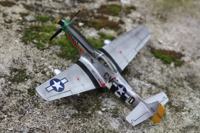 P51D-Mustang "Cookie" - Revell - Tout premier Montage 785319IMG0080