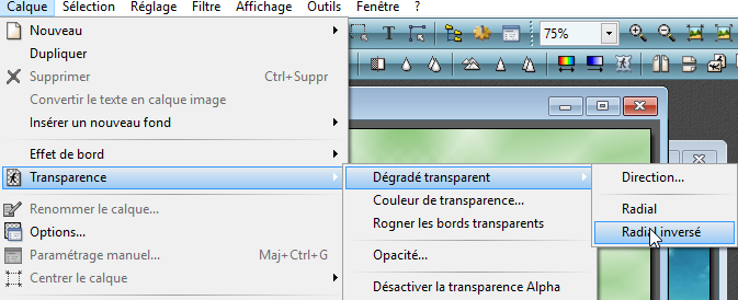 FONDU :  PAYSAGE EN RADIAL OU DEGRADÉ DE DIRECTION 790436INVERS2