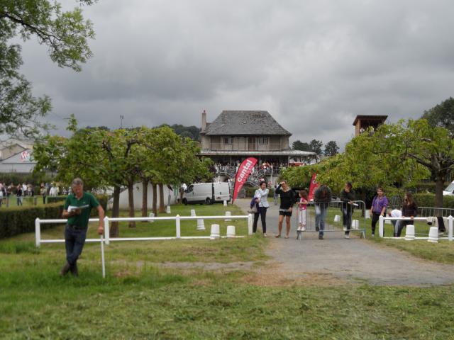 Tiercé à l'hippodrome d'Aurillac 797960SAM0115