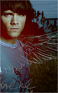 Jared Padalecki 798915Jared6