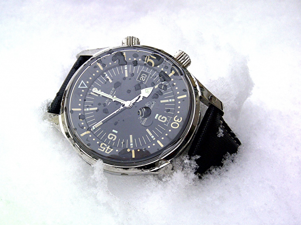 longines - Feu de Longines Legend Diver 800422LLDNEIGE2