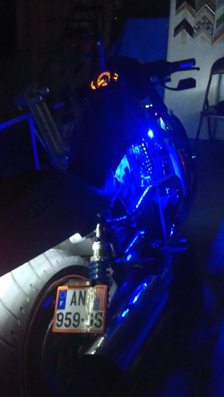 Led sur Vrod...la vie en bleu! 803024IMAG1283