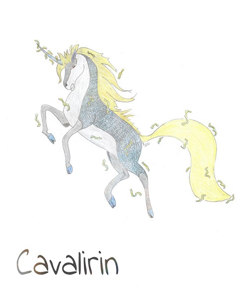 Concours CAP #11 [Résultats] 805847CavalirinFinal