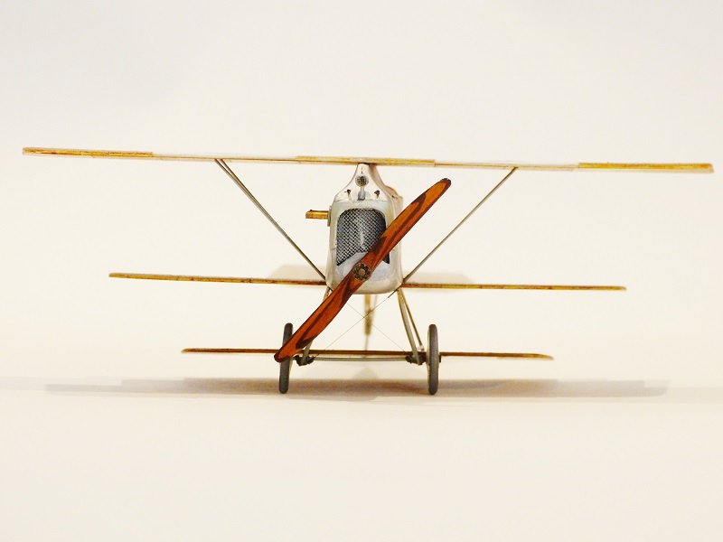 Triplan WW1 Lloyd 40.15 (scratch) 1/48 805943P1090860