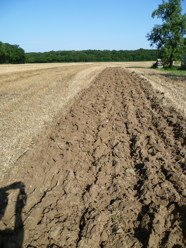 VIARMES 2014 CONCOURS DE LABOUR AUX MOTOCULTEURS 806440Lab14rsultat