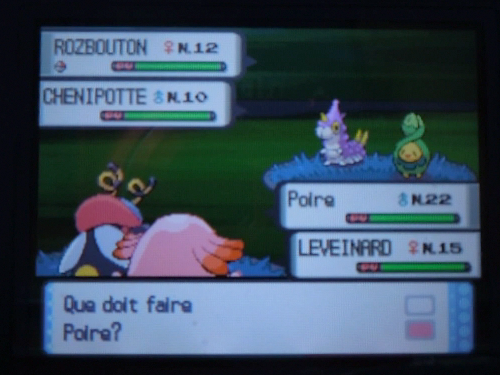 [ShinysHunters' Teams Cup n°7] Rapports et Classements  - Page 7 809498Chenipotte2