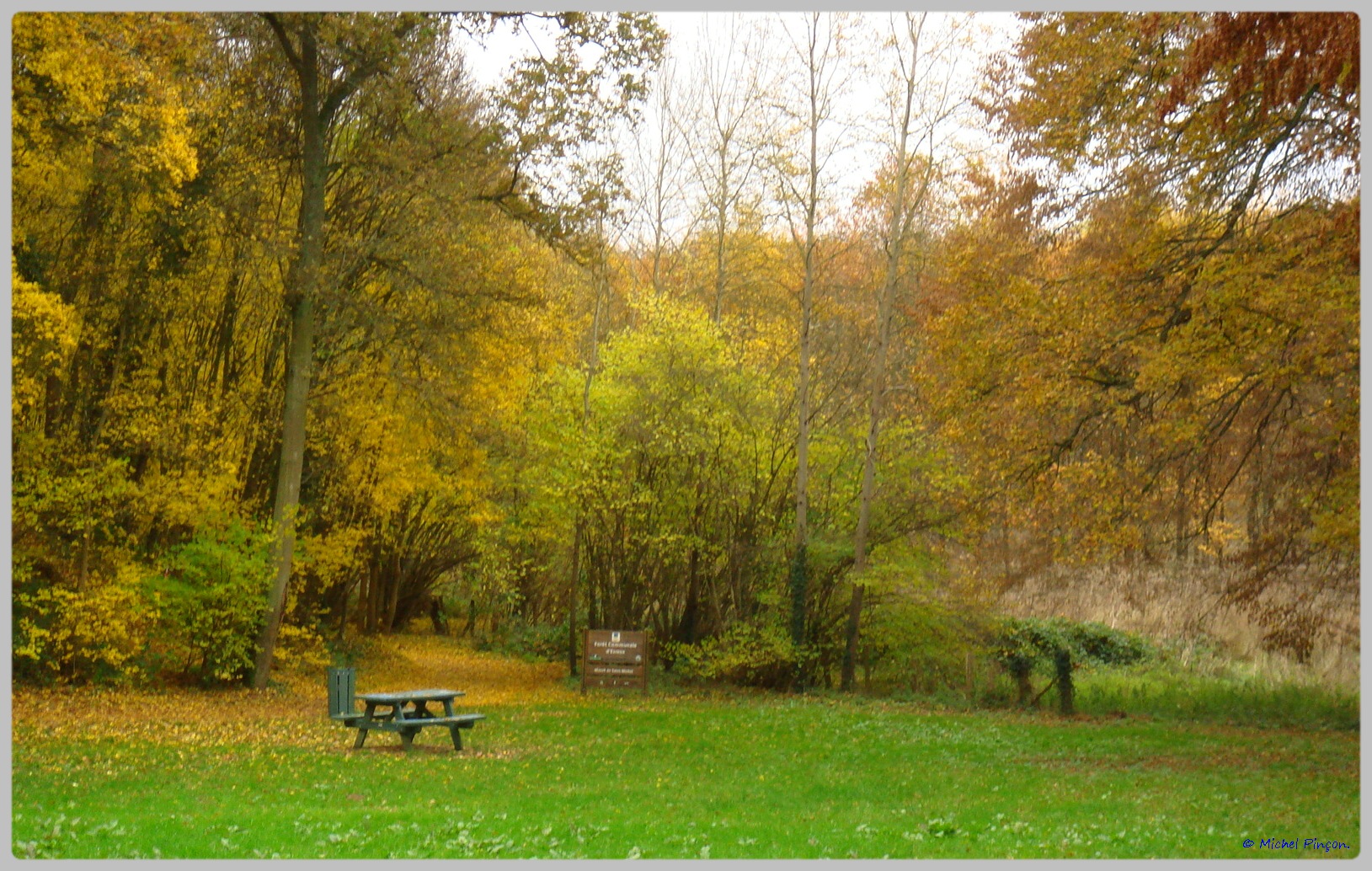 [fil ouvert] la forêt dans tous ses états - Page 10 810186DSC011568