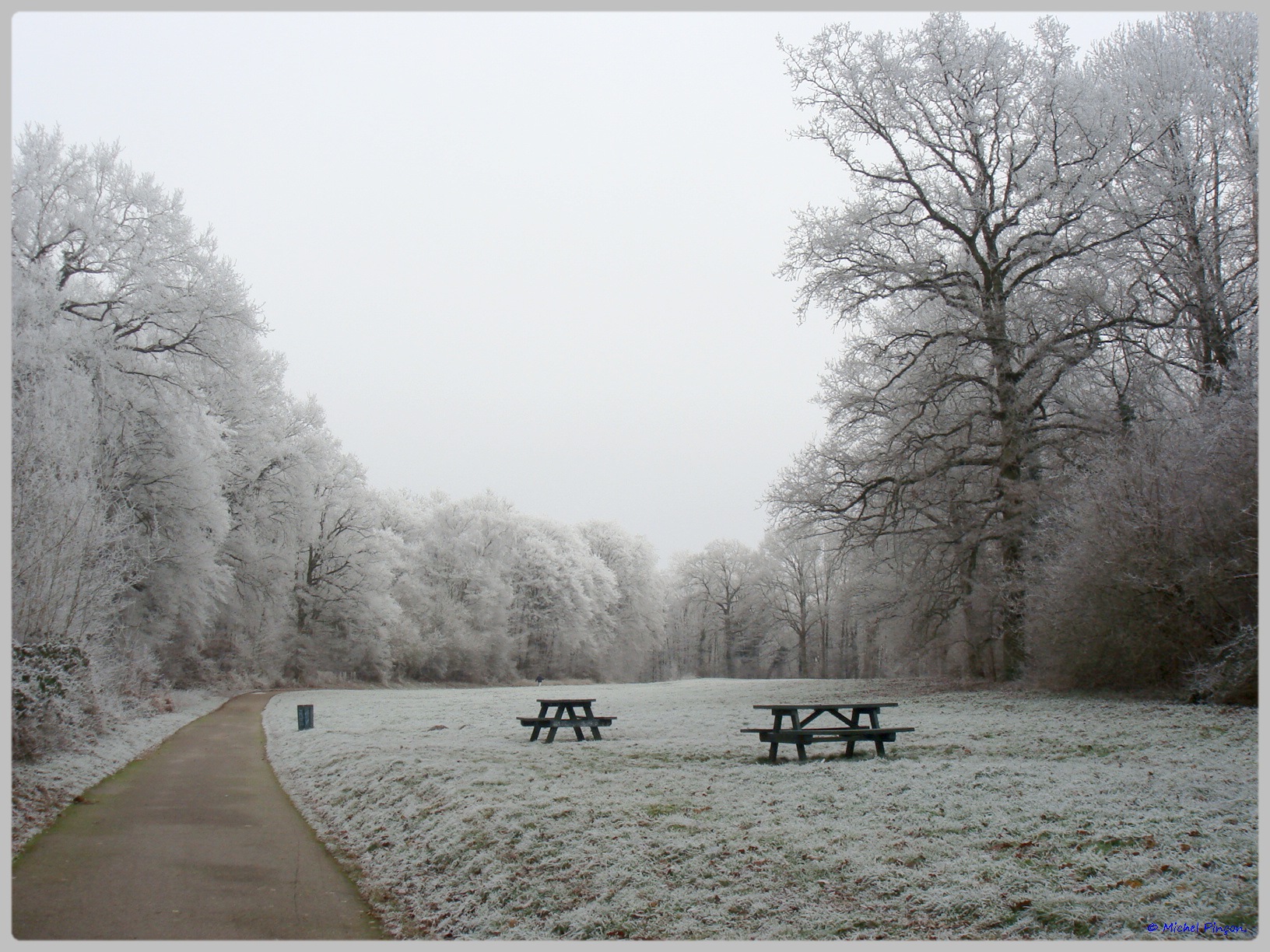 [fil ouvert] la forêt dans tous ses états - Page 12 821665DSC011778