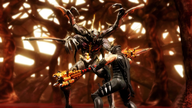 Toutes les images de Ninja Gaiden III : Razor's Edge 8240799318