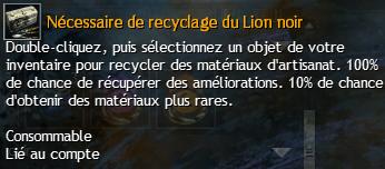 Coffres du Lion Noir : ce qu'il faut savoir 828356NcessairederecyclageduLionnoir