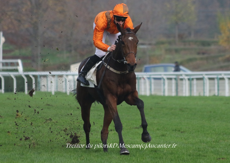 Photos Auteuil 27-11-2016 8290805J6A2794