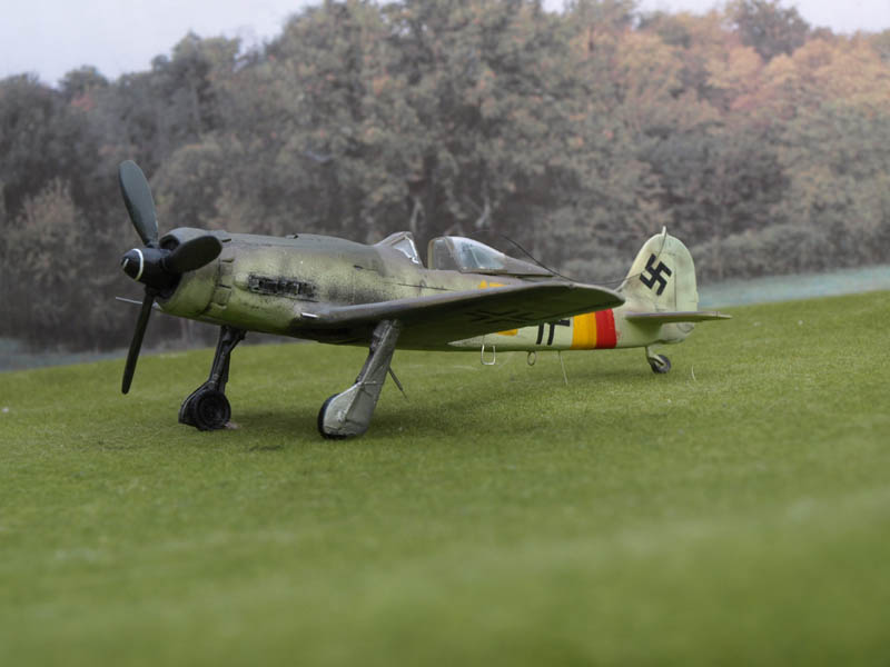 Focke Wulf FW190D  Tamiya 1/48 838602P6045648