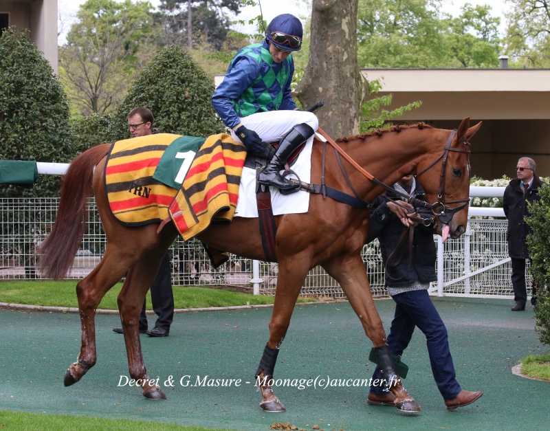 Photos Auteuil 30-04-2016 8403325J6A0066