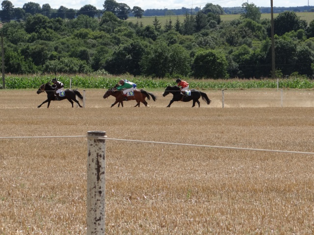 courses de poneys en bretagne 843873DSC00451