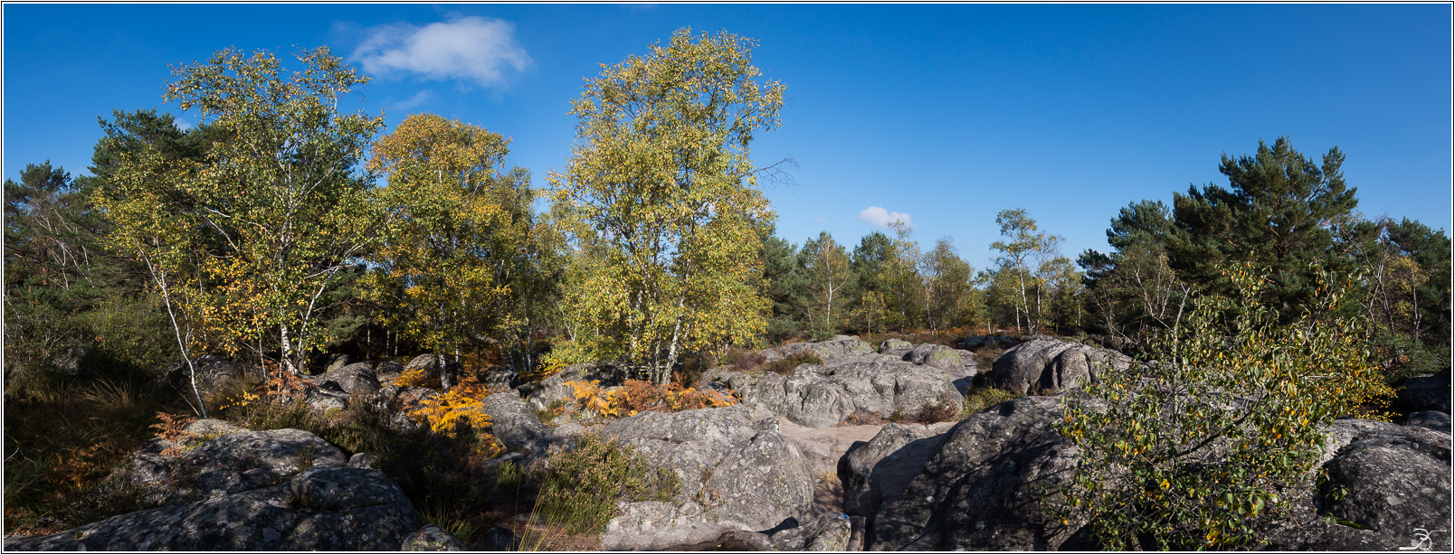 Rochers de Barbizon: suite 852417LR6P1240950Panorama