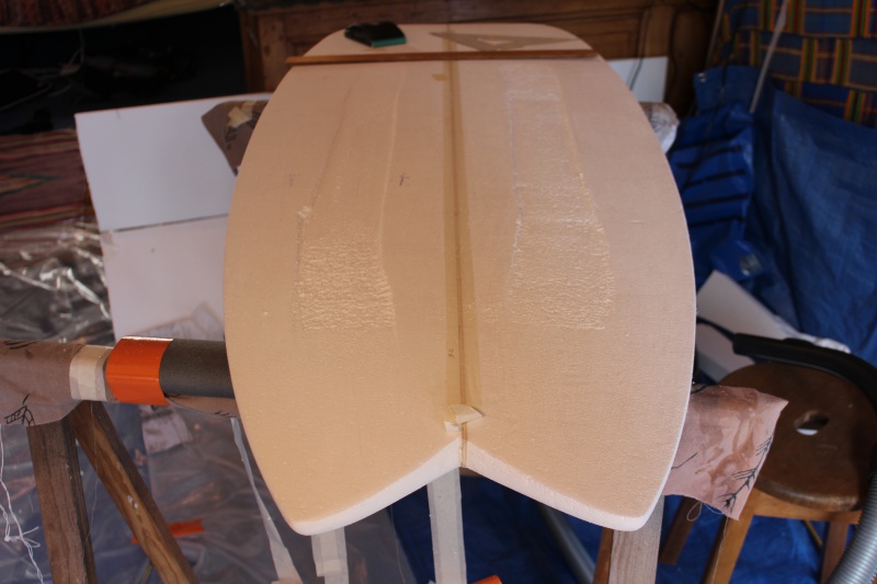 Premier projet de Shape -> Surfkite - Page 2 852926IMG2490