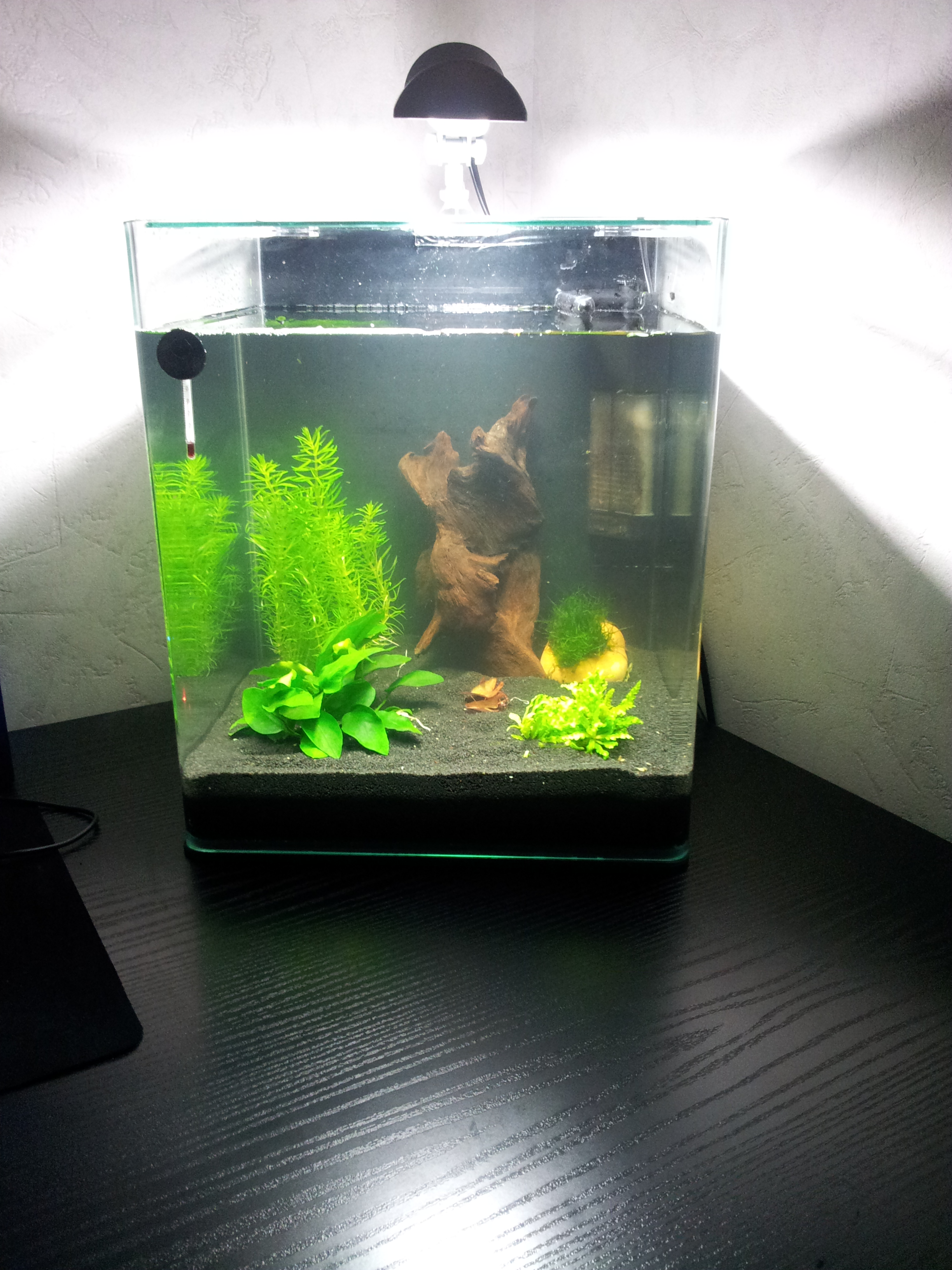 Mon Nano Cube 30L 85990520120714135144