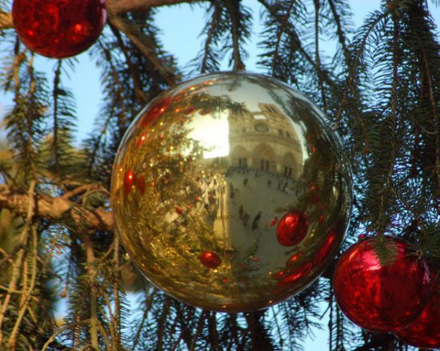 Gloire de Noël main image 1