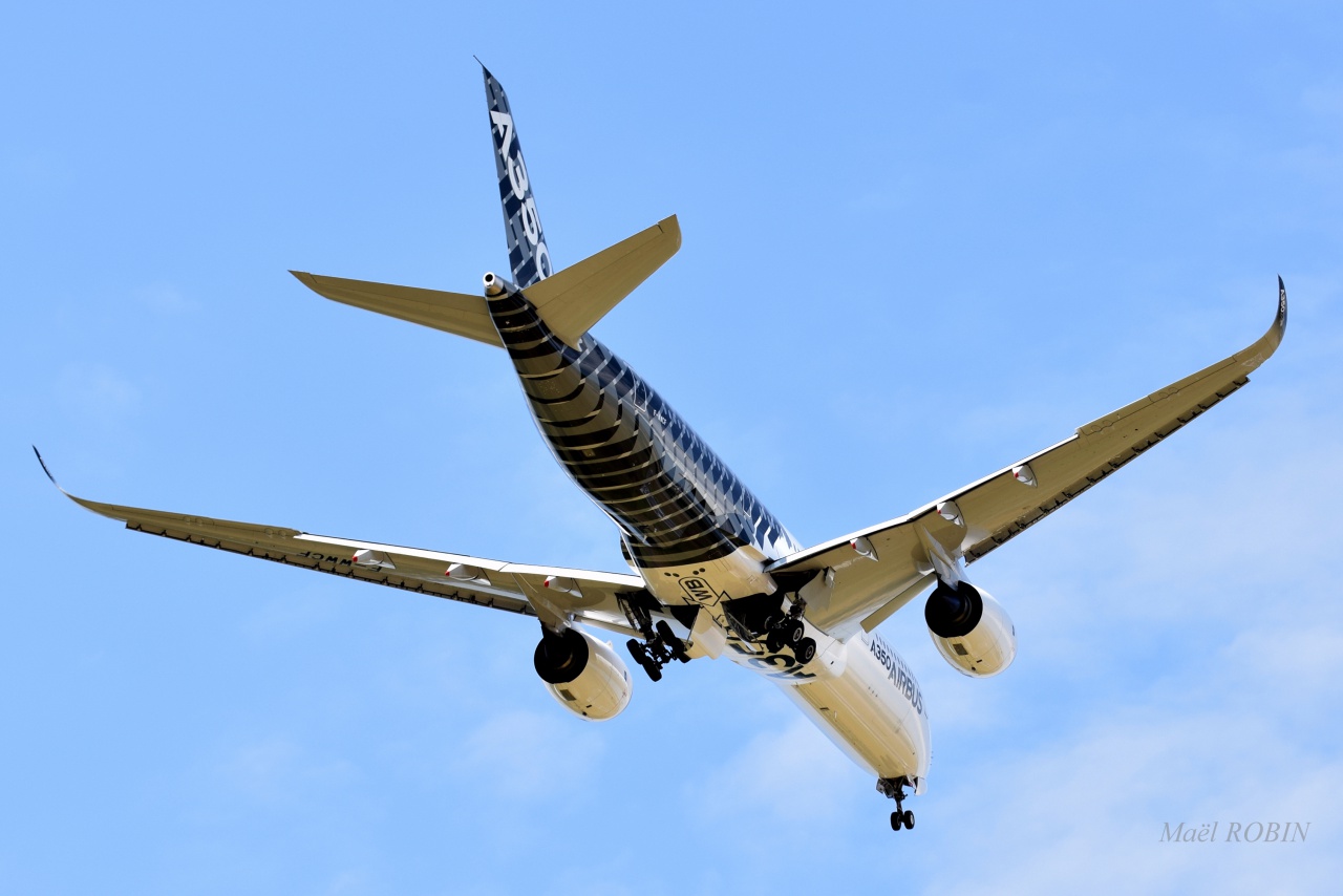 [02/07/2015] Airbus A350 (F-WWCF) Airbus Industrie: Carbone Livery !!! 866934DSC00424