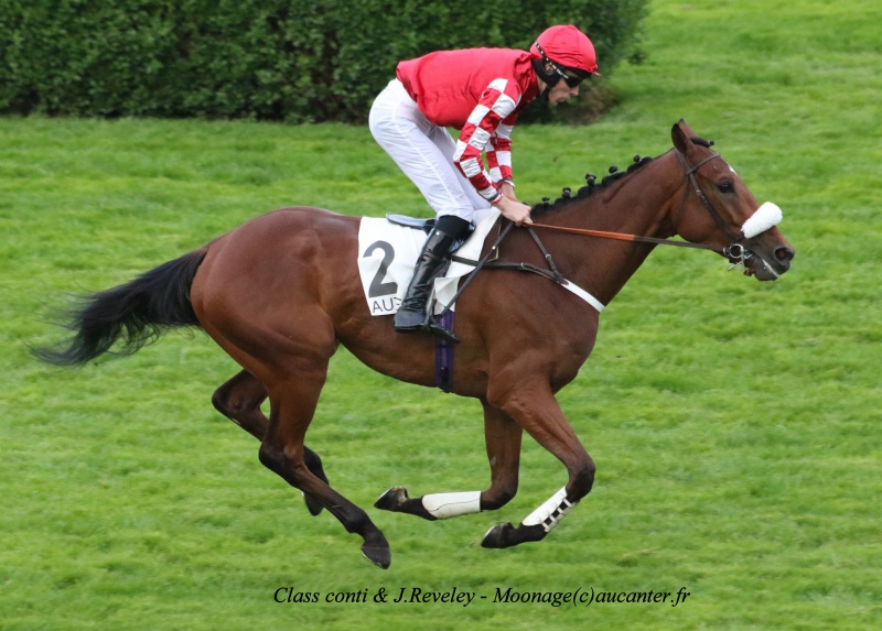 Photos Auteuil 14-05-2016  - Page 2 8676565J6A1576