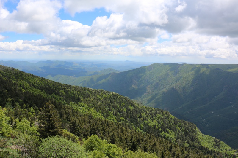 Les Cevennes autour du Mt Aigoual 869955IMG3147