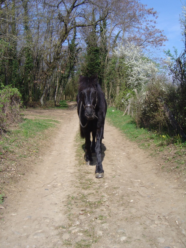 Entre Vif et Lagnieu, traverser l'Isère en solitaire 871366DSC00678