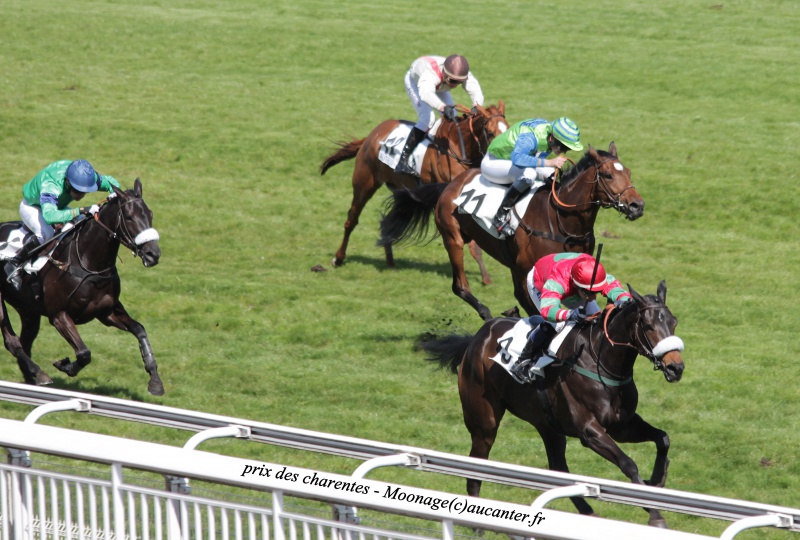 Photos Auteuil 27-04-2016 - Page 2 873783IMG1126