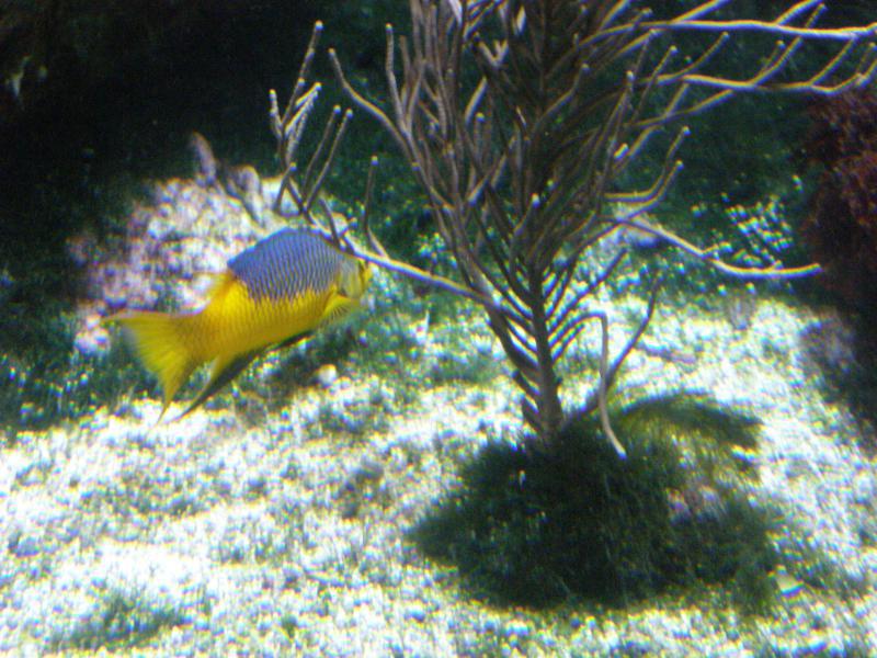 Aquarium de La Rochelle 881590P8027871