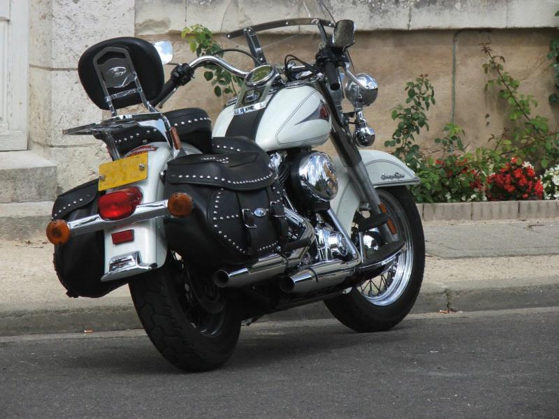 Vends Softail 1450 carbu "Jack Daniel's" ou Héritage.... 881807DSCF0263