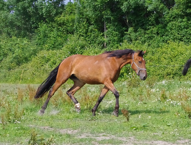 [PLACEE MARINE] ADRENALINE Augmentez votre rythme de coeur ! 885848adrenaline4