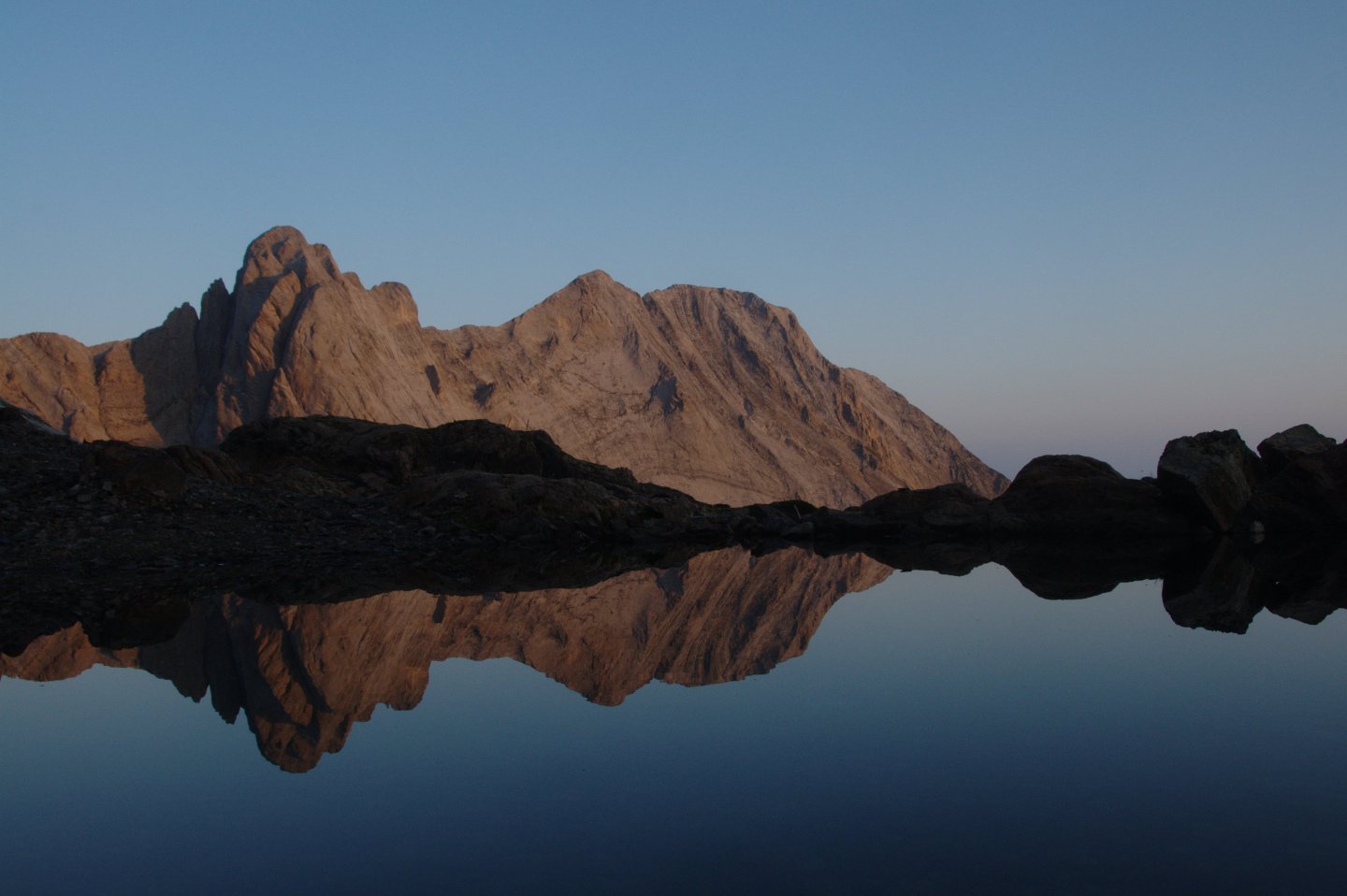 Une vie pyrénéenne de labrit des pyrénées - Page 14 886104gou0213