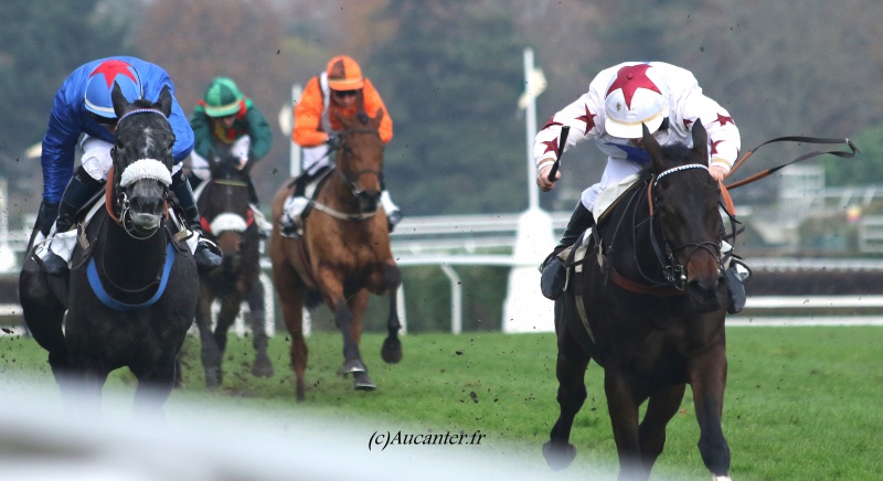 Photos Auteuil 27-11-2016 8898045J6A2779