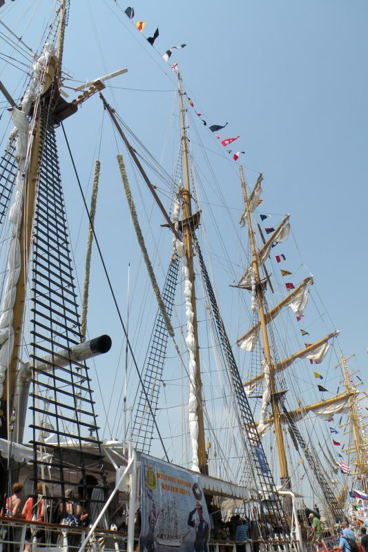 Tall Ship Races - Anvers (Antwerp) Belgique Juillet 2010 891836DSCN0624_bis