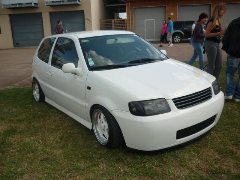 jojo polo 6n2 900349polodienv