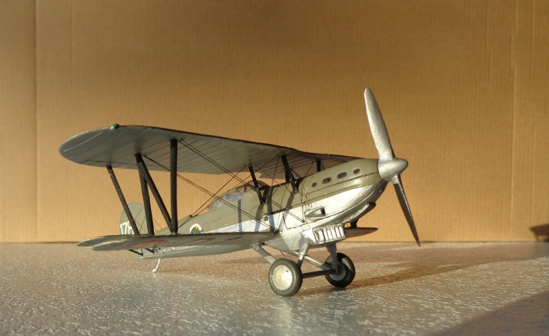 Fairey Fox VI Belge - Omega Model 1/72 - Terminé - Page 2 900534DSC00616